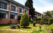 Туры в отель Hotel Violetta