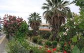 Туры в отель Violetta Hotel