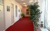 Туры в отель City Center Hotel