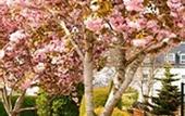 Туры в отель Ballygarry House