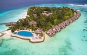 Туры в отель Taj Coral Reef Resort & Spa