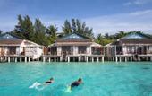 Туры в отель Taj Coral Reef Resort & Spa
