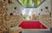 Туры в отель Taj Coral Reef Resort & Spa