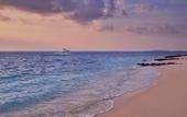 Туры в отель Taj Coral Reef Resort & Spa