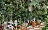 Туры в отель Spring Hotel Vulcano