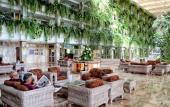 Туры в отель Spring Hotel Vulcano