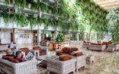 Туры в отель Spring Hotel Vulcano
