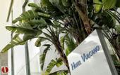 Туры в отель Spring Hotel Vulcano