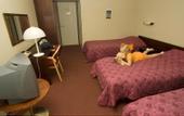 Туры в отель Vuoksenhovi hotel