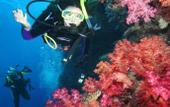 Туры в отель Waisalima Beach Resort & Dive Centre