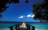 Туры в отель NusaBay Menjangan by WHM