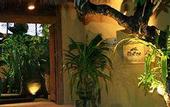 Туры в отель Wakamaya Resort