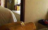 Туры в отель Wakamaya Resort