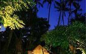 Туры в отель Wakamaya Resort