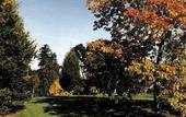 Туры в отель West Lodge Park