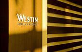 Туры в отель The Westin Fort Lauderdale