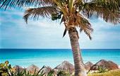 Туры в отель The Westin Resort & Spa