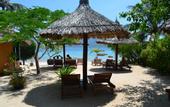 Туры в отель Whale Island Resort