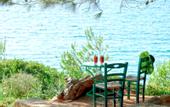 Туры в отель White Rocks Hotel & Bungalows