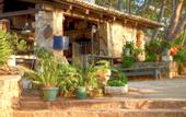 Туры в отель White Rocks Hotel & Bungalows