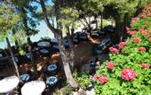 Туры в отель White Rocks Hotel & Bungalows