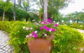 Туры в отель White Sand Doclet Resort & Spa