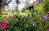 Туры в отель White Sand Doclet Resort & Spa