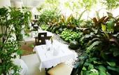 Туры в отель Kokotel Phuket Patong