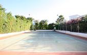 Туры в отель Adelais Bay Hotel