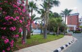 Туры в отель Adelais Bay Hotel