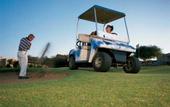 Туры в отель Windhoek Country Club Resort