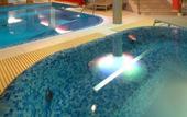 Туры в отель Welness Hotel Windsor