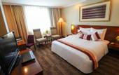Туры в отель Windsor Plaza