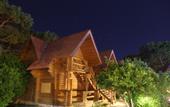 Туры в отель Woodline Hotel