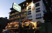 Туры в отель Albergo Adele