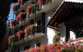 Туры в отель Albergo Adele