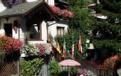 Туры в отель Albergo Adele
