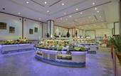 Туры в отель Selectum Colors Bodrum