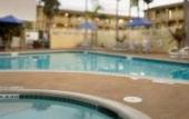 Туры в отель Wyndham Garden Hotel - Atlanta Downtown