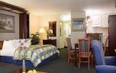 Туры в отель Wyndham Garden Hotel - Atlanta Downtown