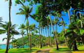 Туры в отель Rayong Resort