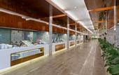 Туры в отель Xanadu Resort Hotel