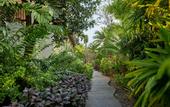 Туры в отель Bandara Spa Resort & Pool Villas Samui