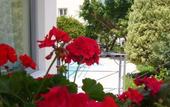 Туры в отель Yakinthos Hotel