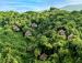 Туры в Yalong Bay Earthly Paradise Bird's Nest Resort