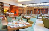 Туры в отель Yas Island Rotana Abu Dhabi