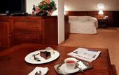 Туры в отель Yastrebets Wellness & Spa