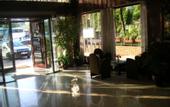 Туры в отель Yavuz Hotel