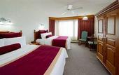 Туры в отель Banff International