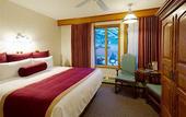Туры в отель Banff International